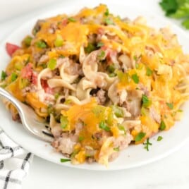 Beef Noodle Casserole on a plate