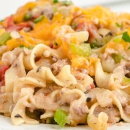 Beef Noodle Casserole on a plate