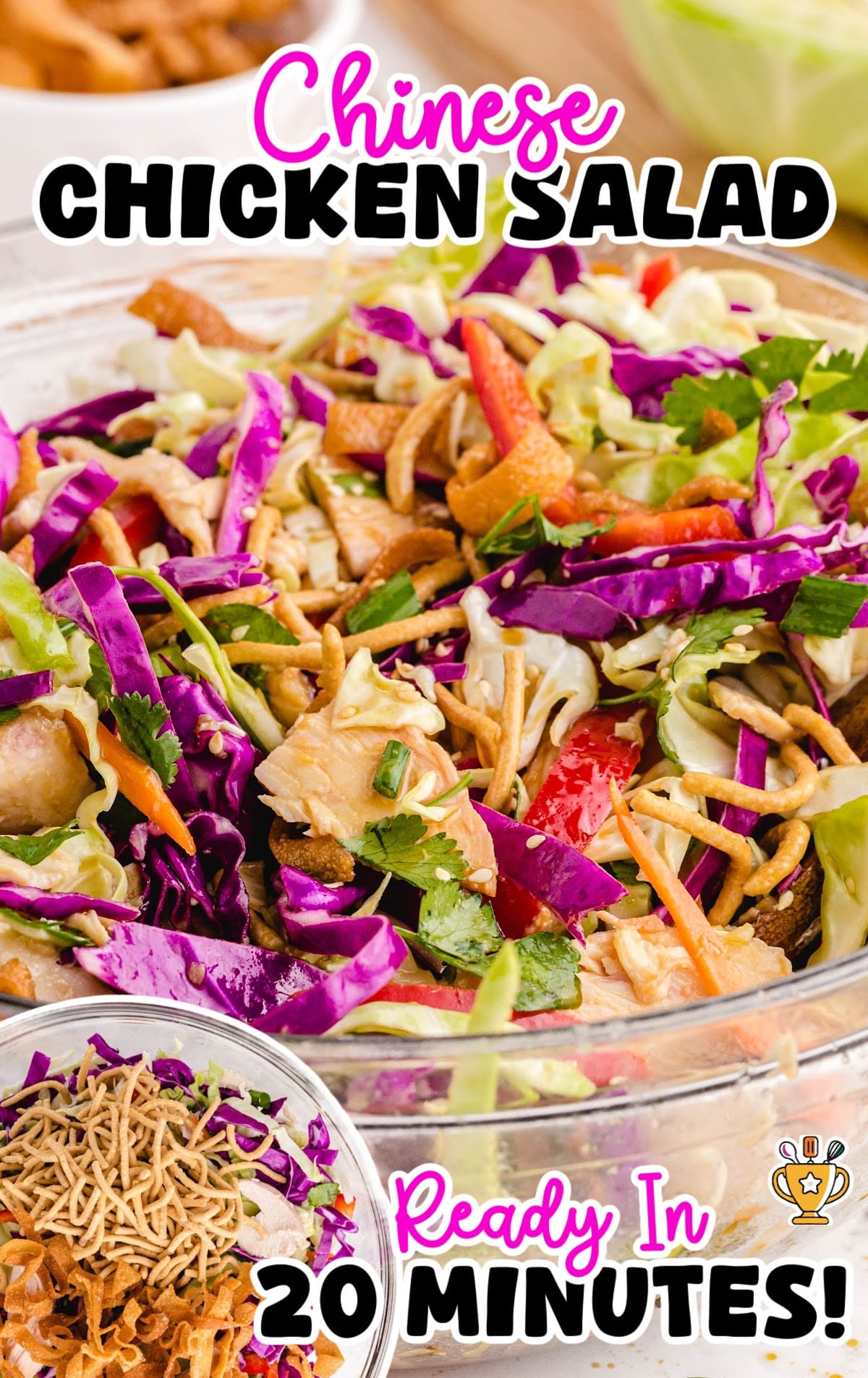 Chinese Chicken Salad in a bowl
