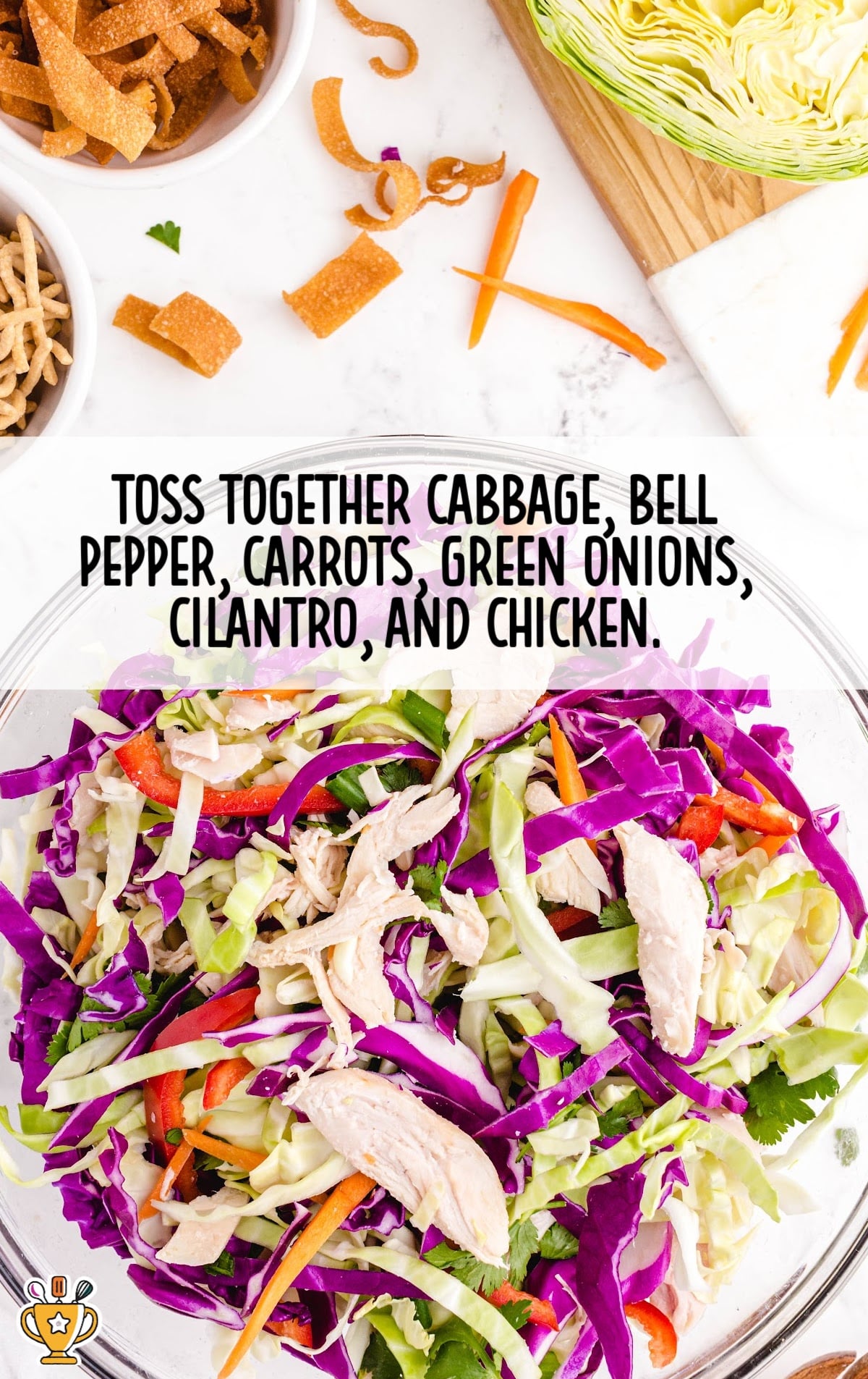 cabbage, bell pepper, carrots, green onions, cilantro and chicken added and mixed in a bowl