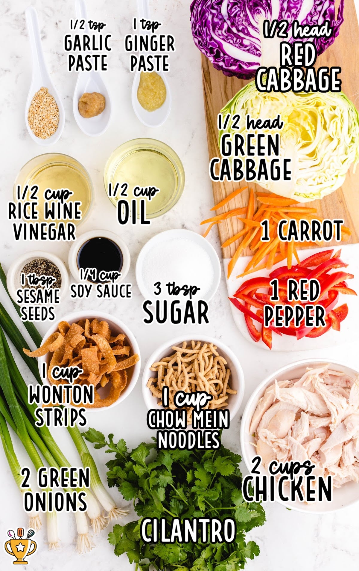ingredients for making Chinese Chicken Salad