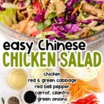 Chinese Chicken Salad in a bowl