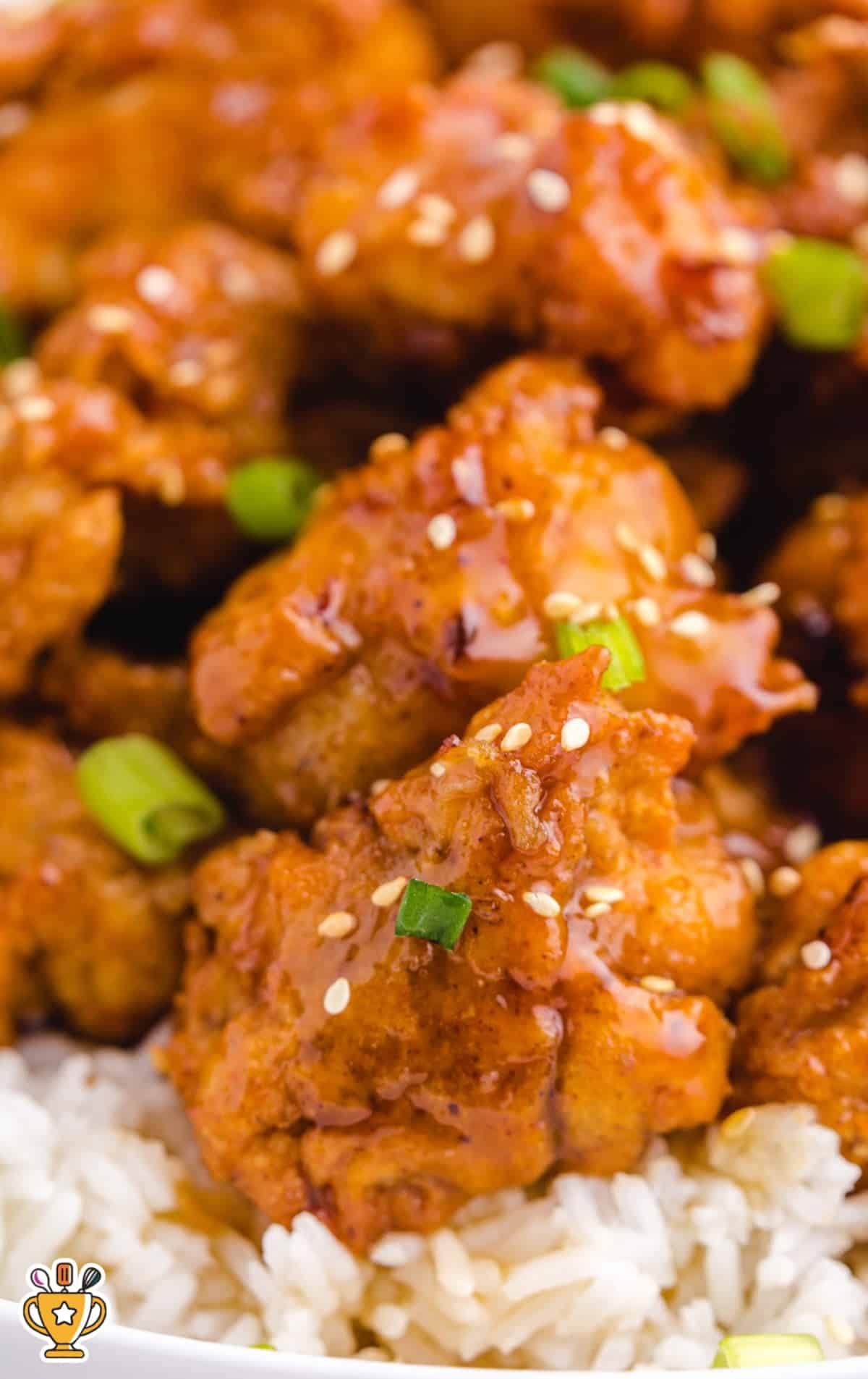 &ldquo;Golden brown honey chicken pieces topped with green onions and sesame seeds served on a bed of fluffy rice.&rdquo;