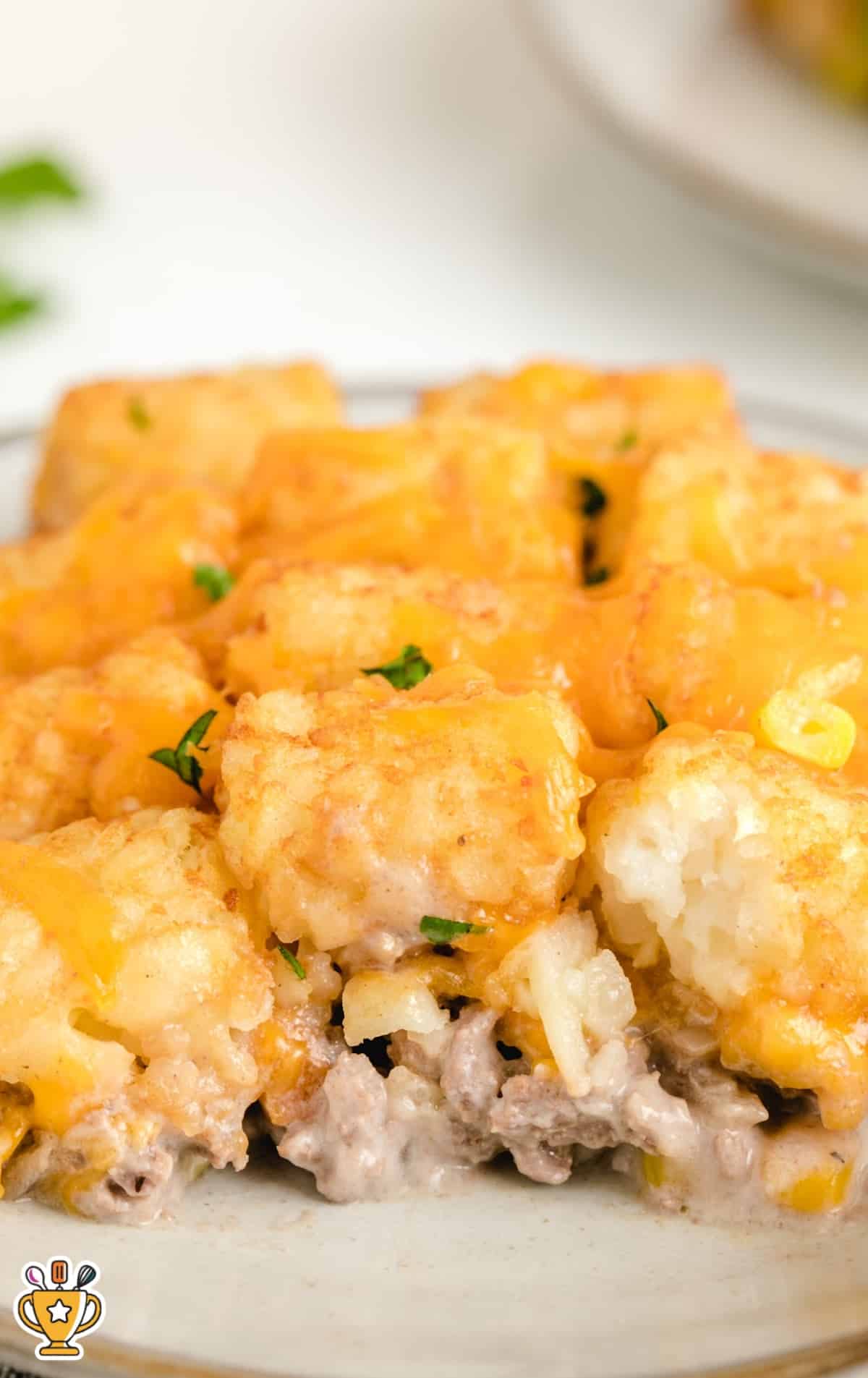 Single serving of tater tot casserole plated with crispy tots, melted cheese, and visible creamy beef and veggie filling.