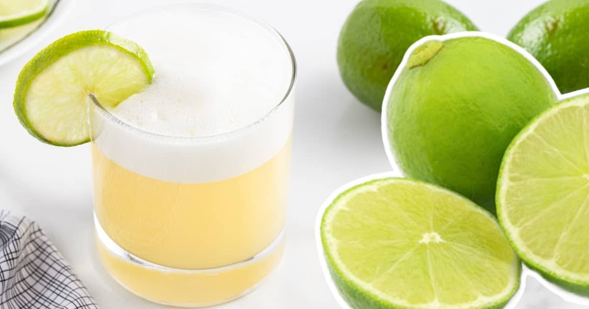 a glass of Tequila Sour