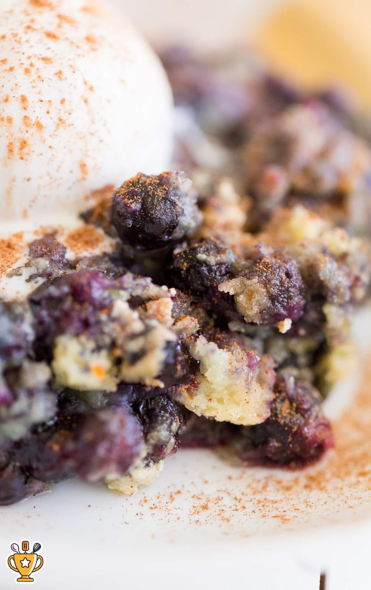 Zoomed-in view of a blueberry cobbler plated with vanilla ice cream and sprinkled with cinnamon.