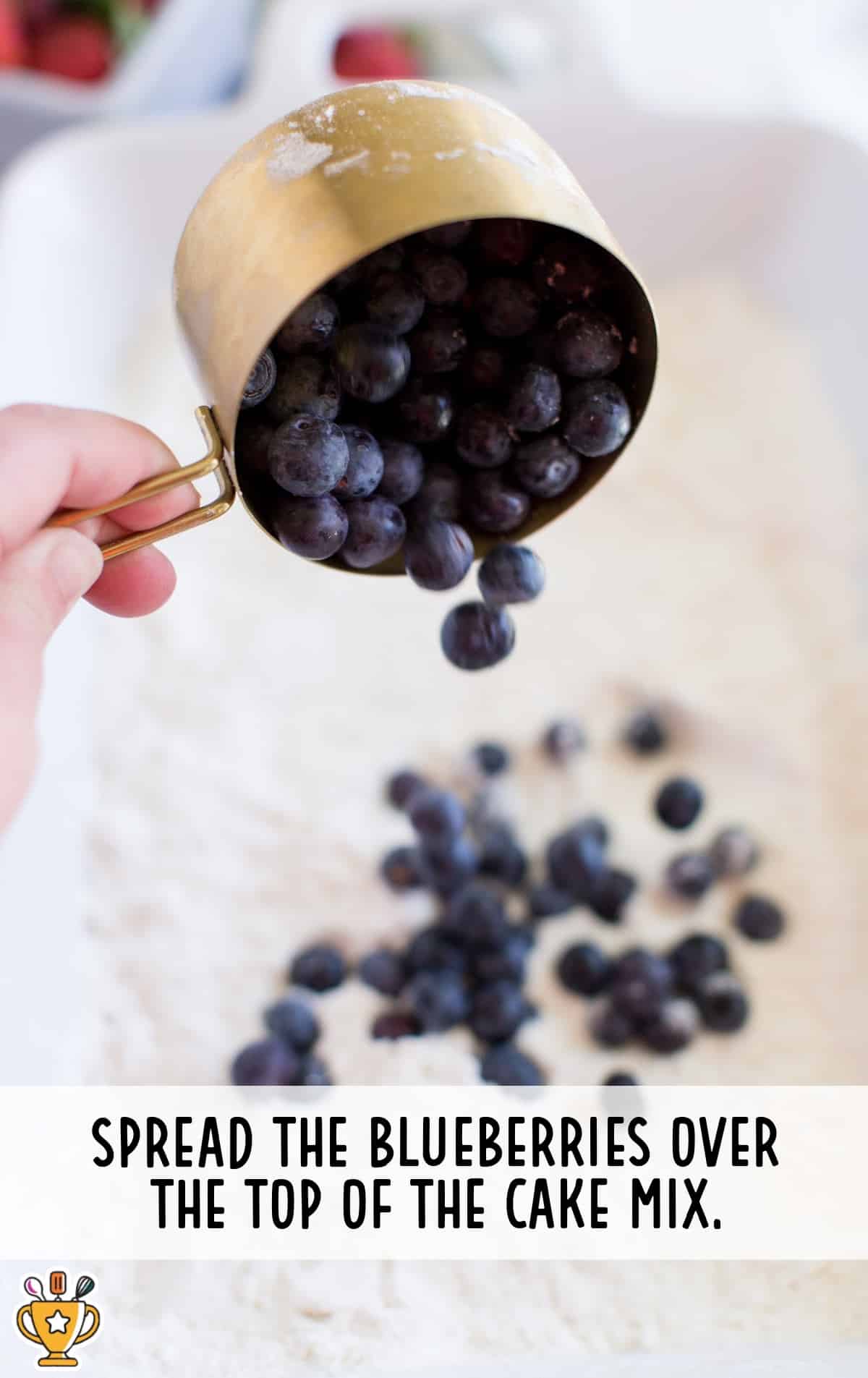 Fresh blueberries being poured from a gold measuring cup over dry cake mix inside a white baking dish. Text overlay reads "Spread the blueberries over the top of the cake mix."