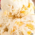 Close-up of cupcake with toasted meringue and bright lemon curd inside, labeled “Perfectly Sweet!”
