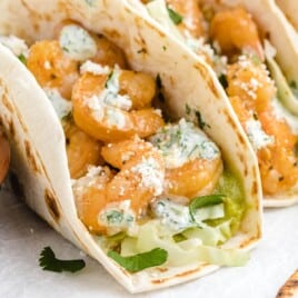 Zoomed-in view of two shrimp tacos filled with seasoned shrimp, green cabbage, guacamole, and cilantro lime sauce.