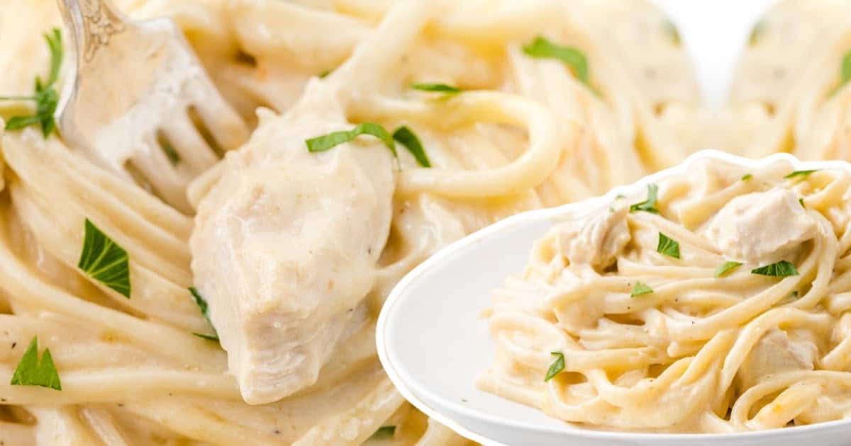 Zoomed-in image of creamy chicken and pasta in Chicken Tetrazzini with fresh parsley, paired with a plated bowl of the dish.