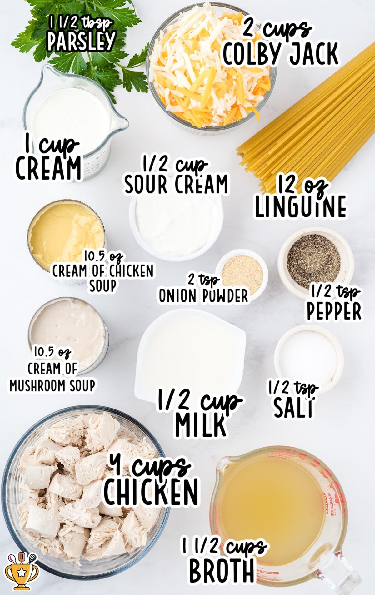 Flat lay of labeled ingredients for Chicken Tetrazzini including cooked chicken, linguine, cheeses, soups, cream, broth, and seasonings.