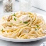 A white plate of creamy chicken tetrazzini garnished with chopped parsley, set in front of salt and pepper shakers on a white and gray background.