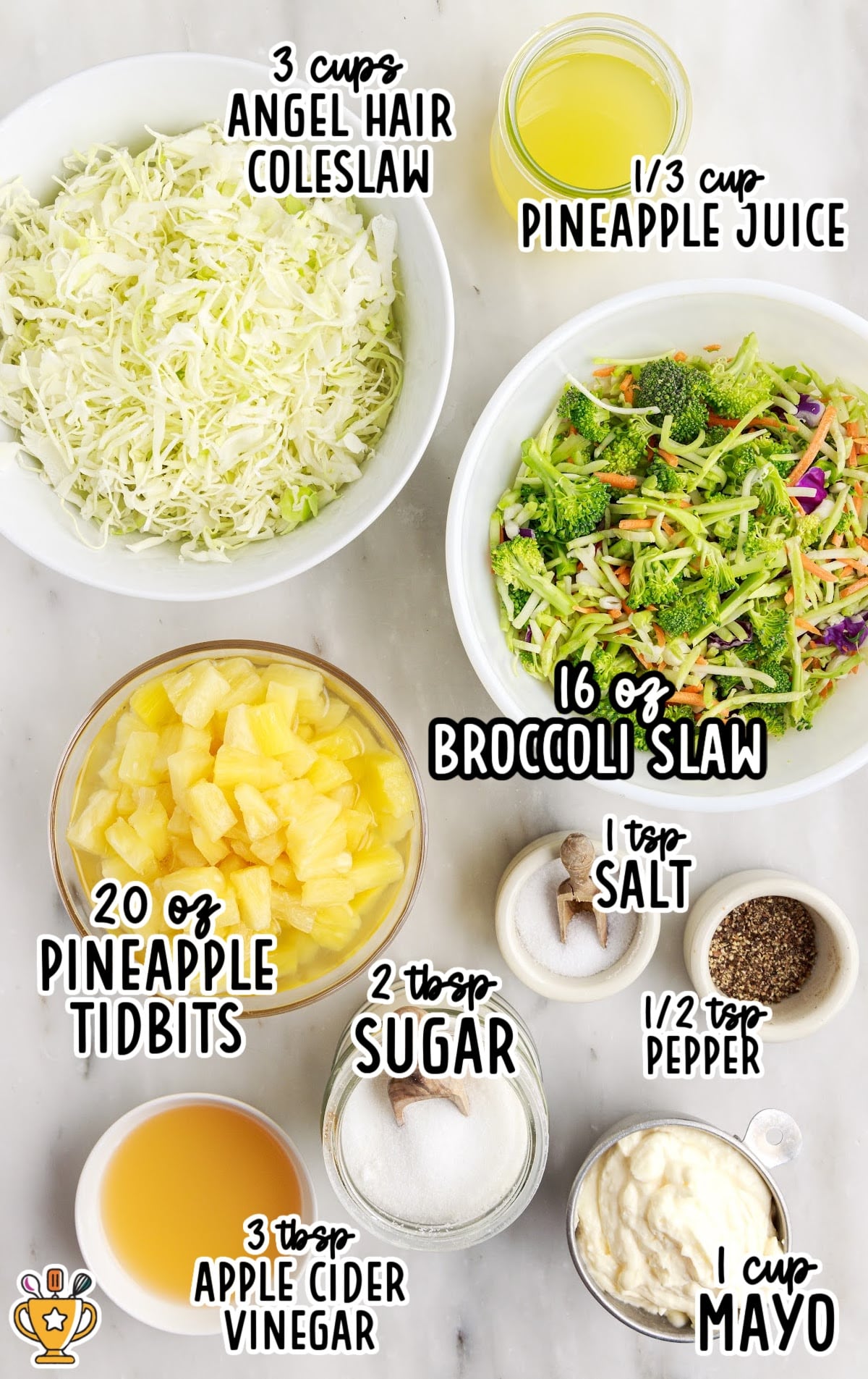 Flat lay of labeled ingredients for pineapple coleslaw including cabbage, broccoli slaw, pineapple tidbits, mayo, and seasonings.