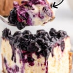 Blueberry Cheesecake