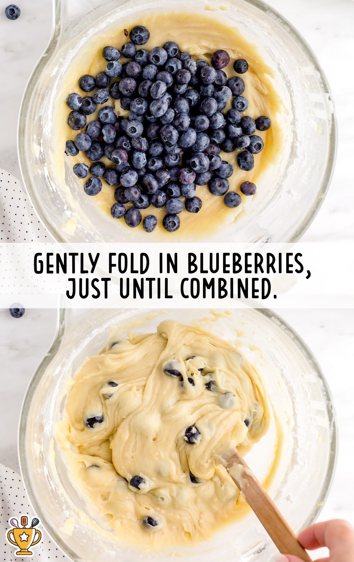 blueberries folded in a bowl with the mixture