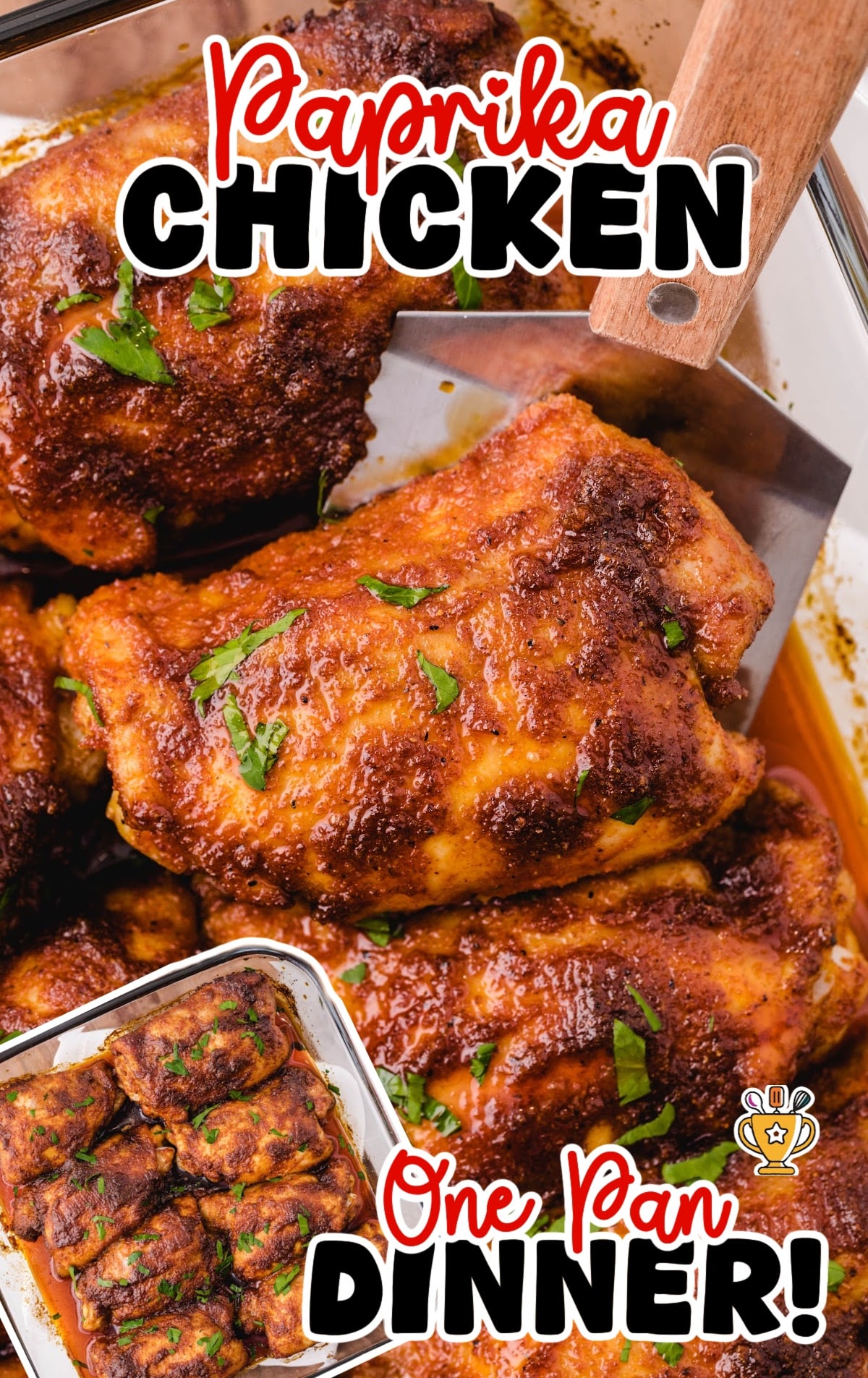Paprika Chicken in a dish