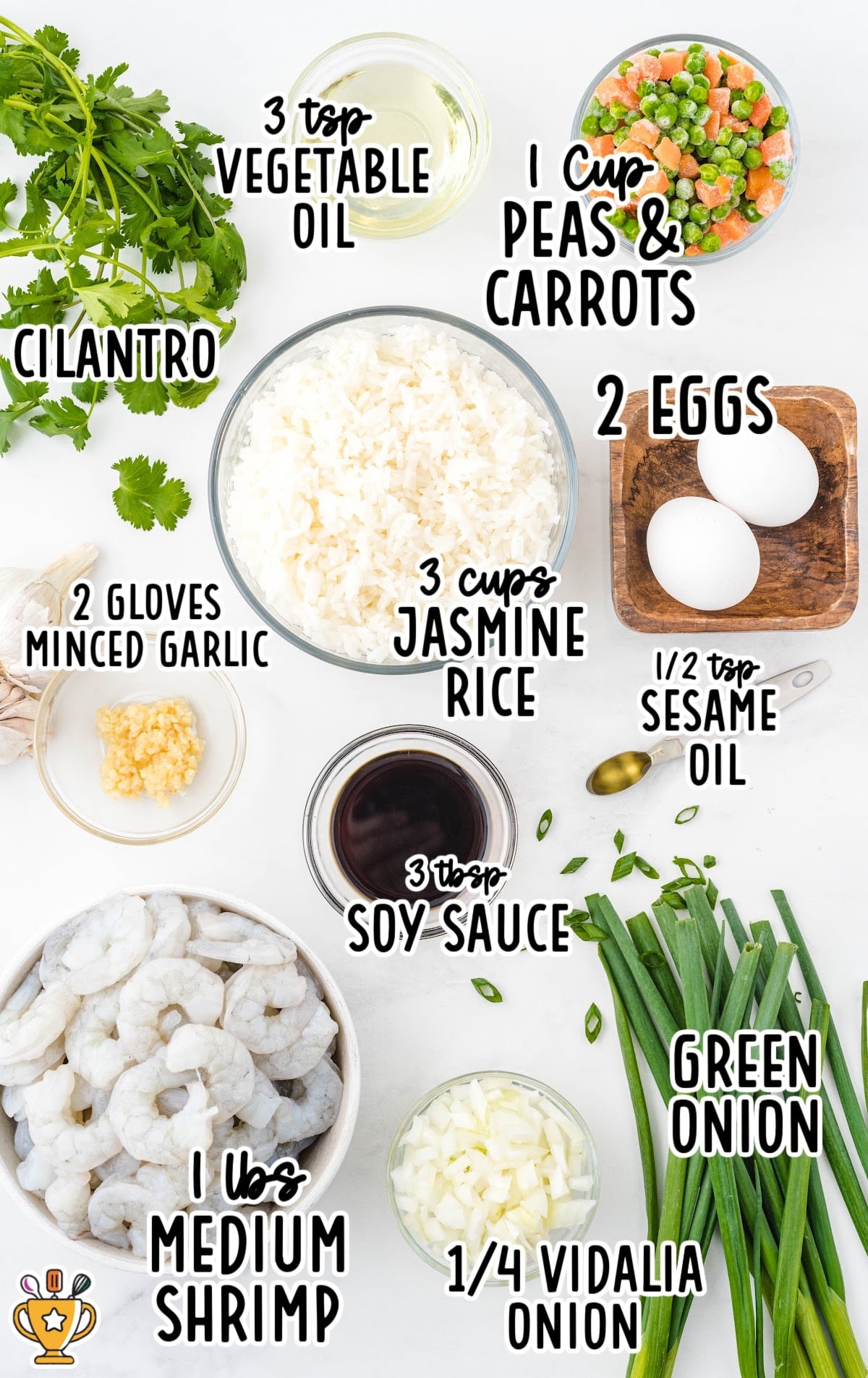 ingredients for making Shrimp Fried Rice