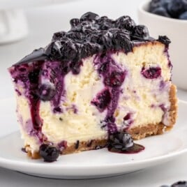 a piece of Blueberry Cheesecake on a white plate