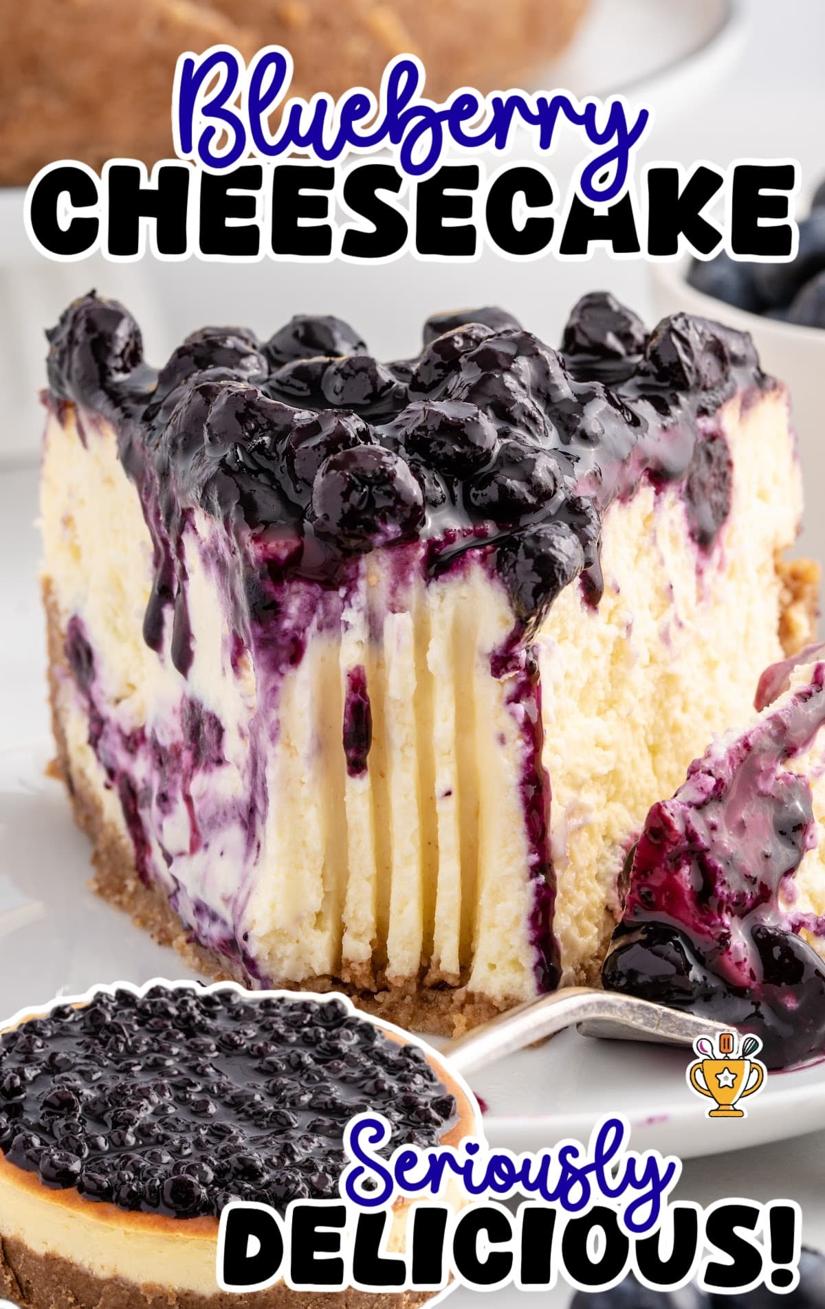 a piece of Blueberry Cheesecake
