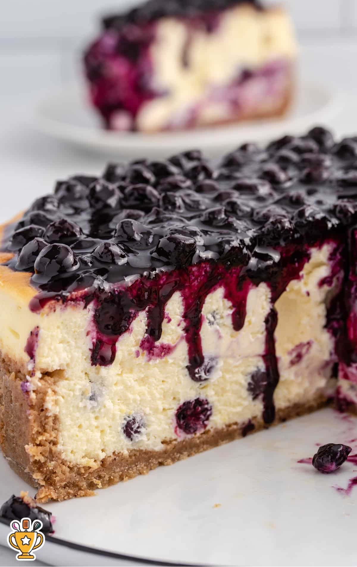 a Blueberry Cheesecake with a piece missing