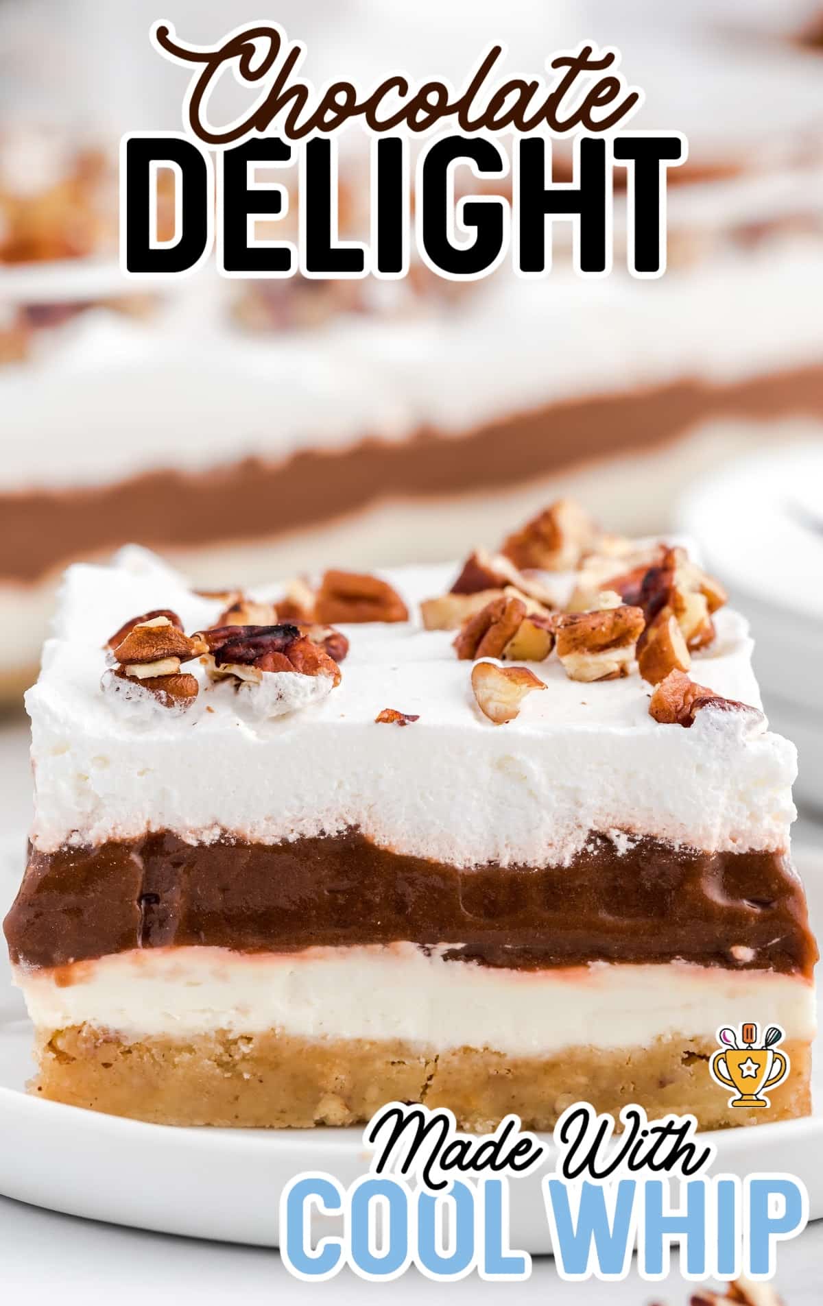 a piece of chocolate delight on a white plate