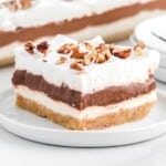 a piece of chocolate delight on a white plate