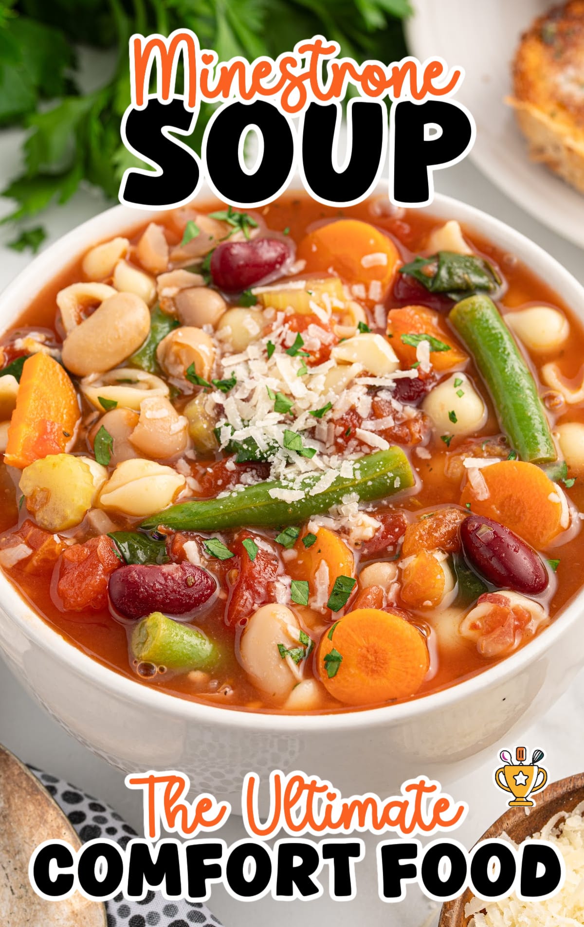 A white bowl filled with hearty minestrone soup featuring colorful vegetables, pasta, and beans in a rich tomato broth.
