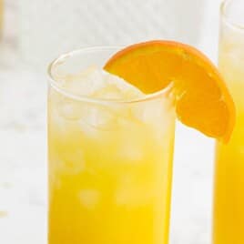 Screwdriver Cocktail in a glass