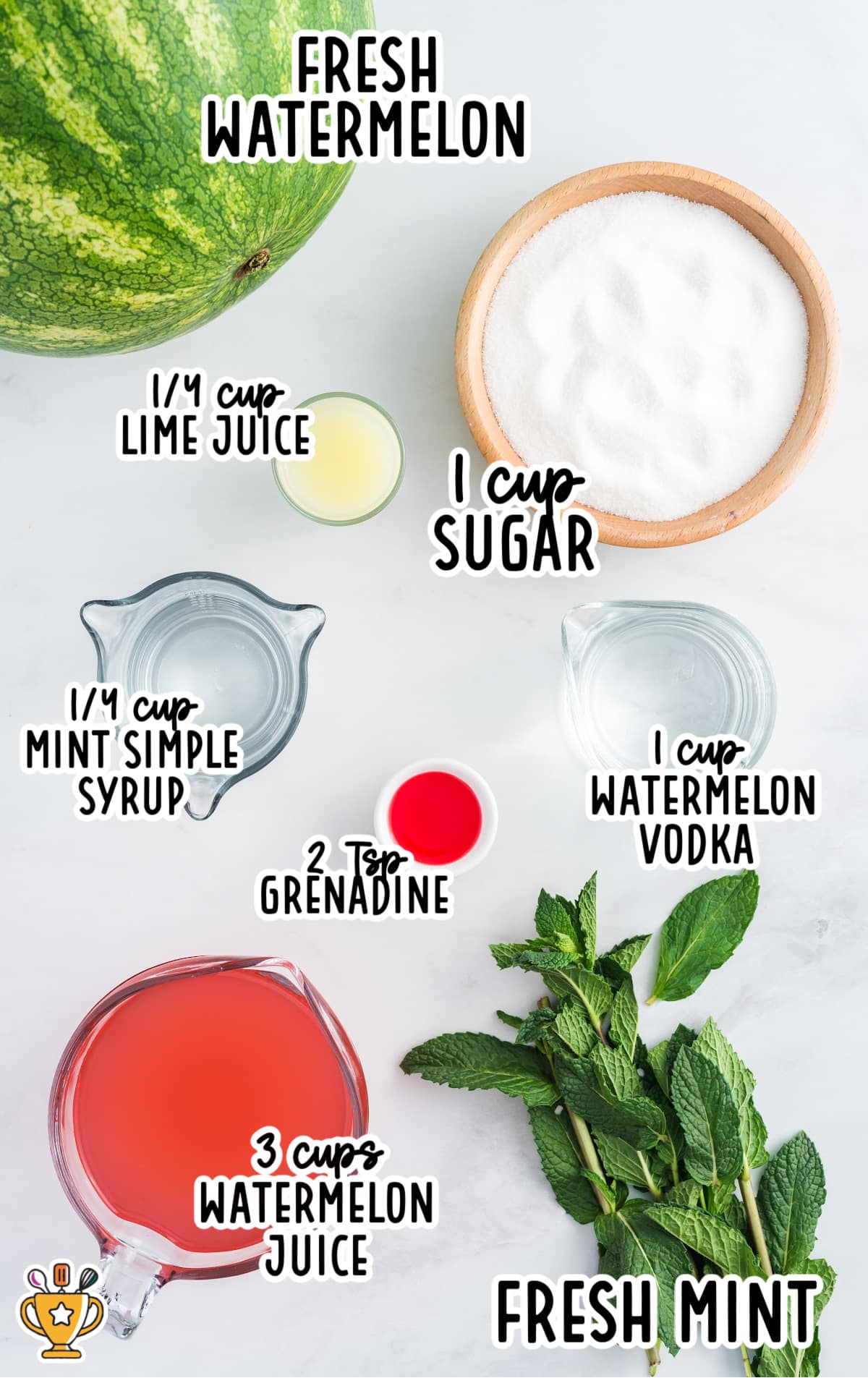 Flat lay of all ingredients for making a watermelon cocktail, including fresh fruit, lime.