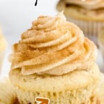 Vertical pin featuring a close-up of a frosted cinnamon cupcake with a swirl of cinnamon-dusted frosting on top. Text overlay reads “Cinnamon Cupcakes Seriously Delicious!” with a bold arrow pointing to the cupcake.