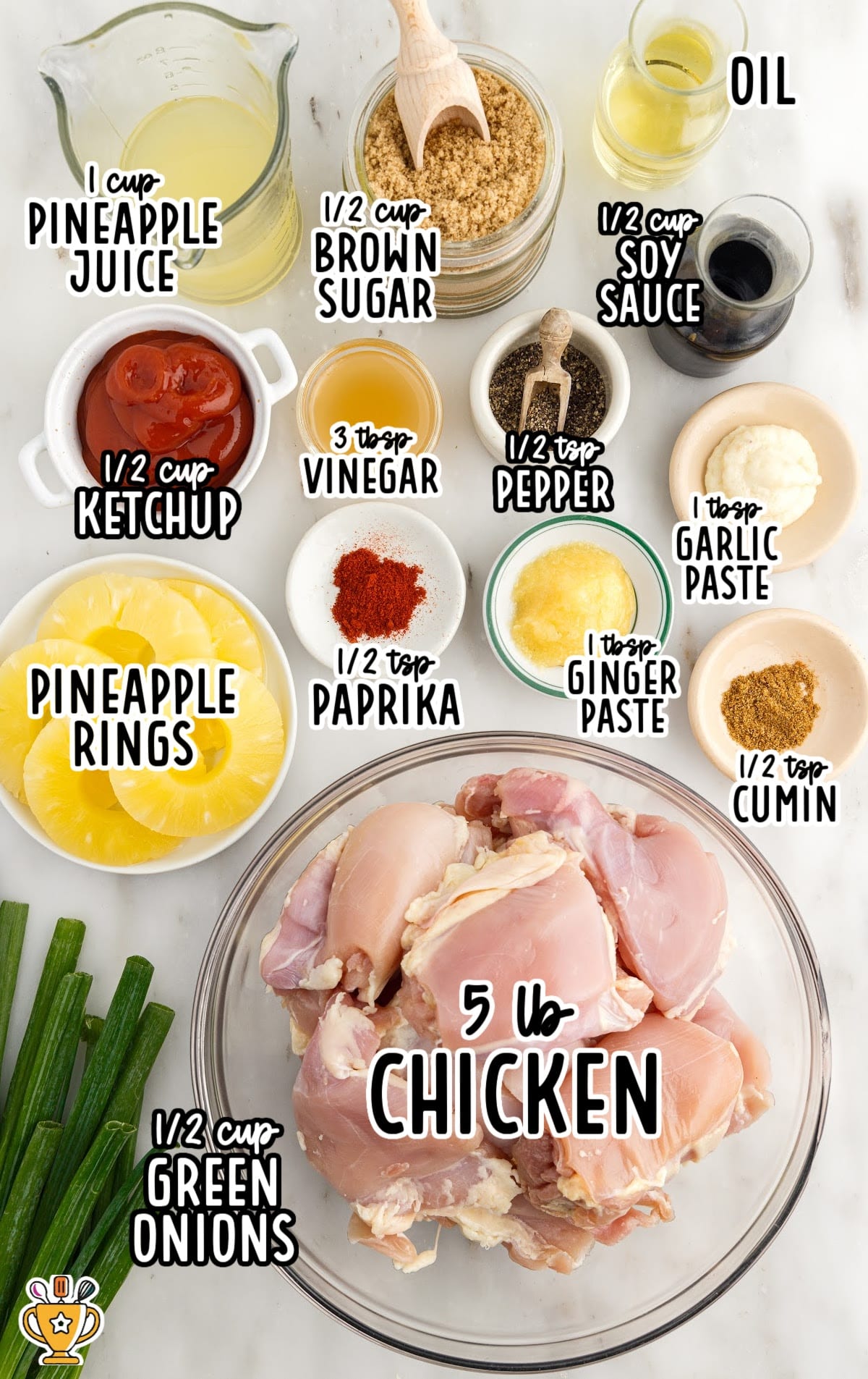 Flat lay of ingredients for huli huli chicken, including raw chicken thighs, pineapple juice, soy sauce, brown sugar, ketchup, vinegar, garlic paste, ginger paste, cumin, paprika, black pepper, pineapple rings, green onions, and oil, each labeled with text.