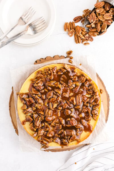Stir in pecans and spoon topping over the cheesecake.