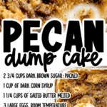 "Graphic image featuring a gooey pecan dump cake topped with whole pecans and caramel drizzle. The design includes a bold title reading 'Pecan Dump Cake' and a detailed list of ingredients such as dark brown sugar, corn syrup, butter, eggs, vanilla extract, pecan halves, white cake mix, hot water, and caramel topping. The collage includes close-up shots of the baked dessert and a plated serving topped with vanilla ice cream."