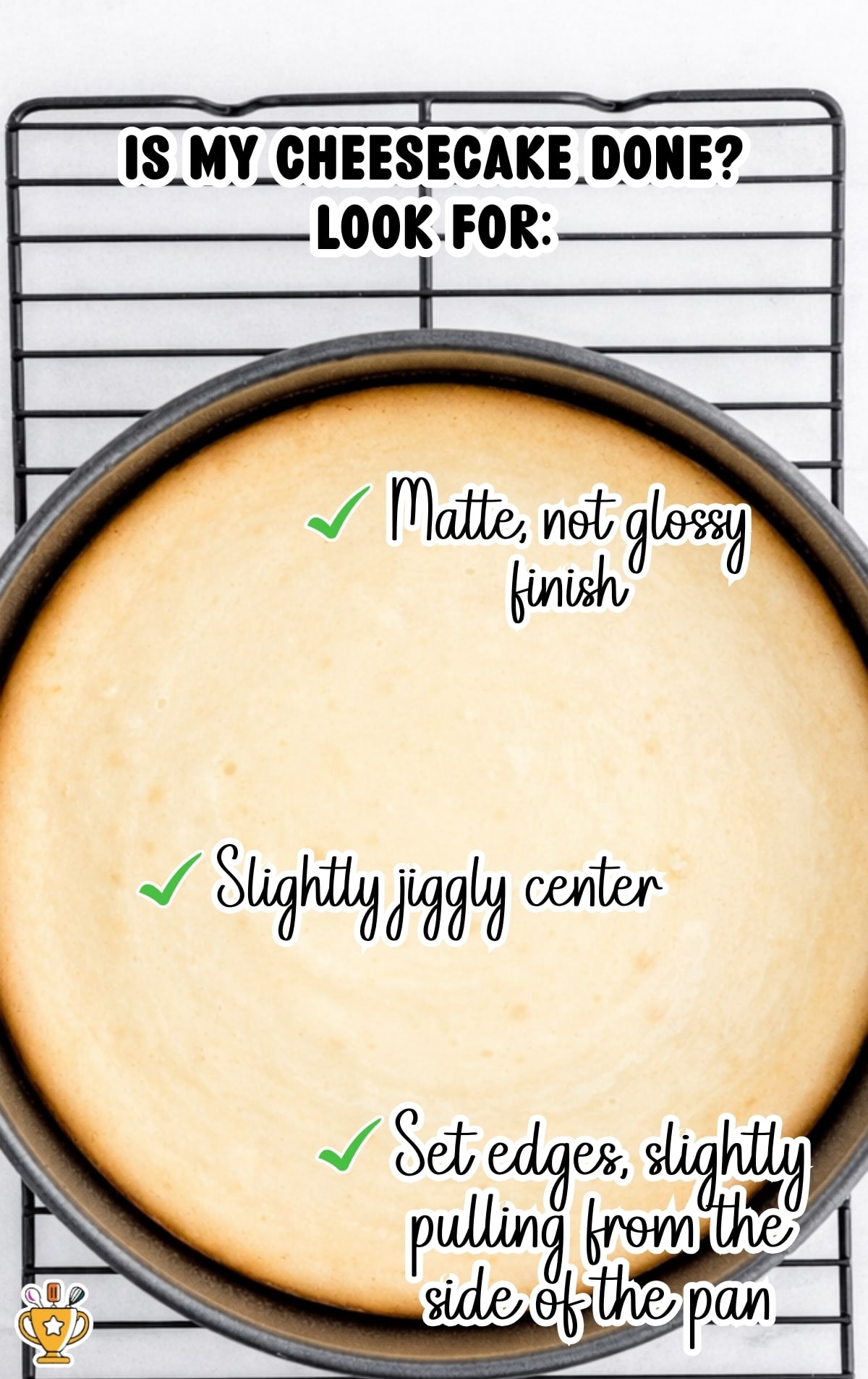 Baked cheesecake in a springform pan showing set edges and a slightly jiggly center to indicate doneness