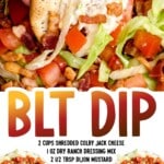 Tall pin image of loaded BLT dip with bold text overlay, highlighting creamy texture, fresh ingredients, and crispy bacon topping.