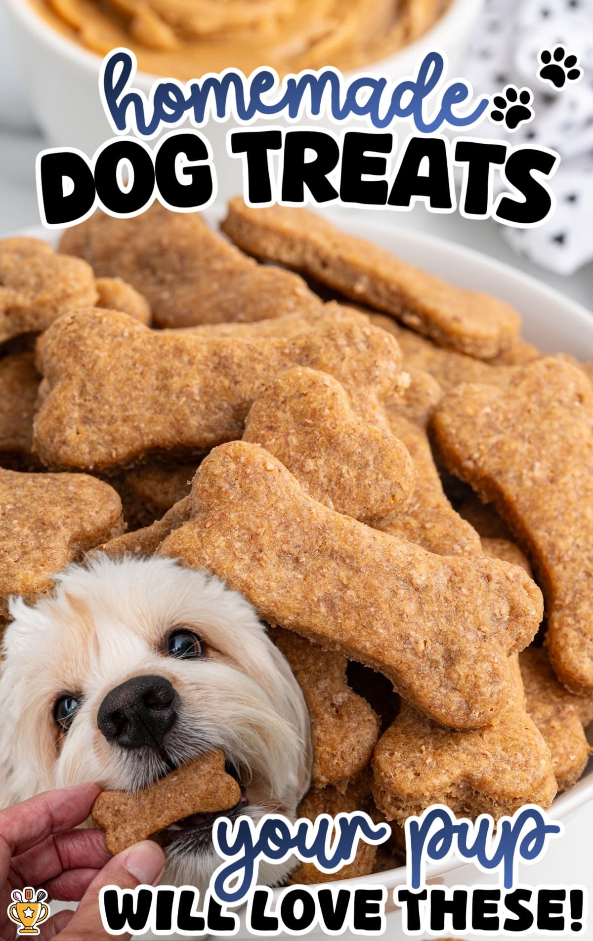 A vertical hero image showing a large bowl overflowing with bone-shaped homemade dog treats in warm golden-brown tones. A fluffy light-colored dog is shown at the bottom biting a treat held by a hand. Bold text across the image reads “homemade DOG TREATS” and “your pup WILL LOVE THESE!” with playful paw print accents.