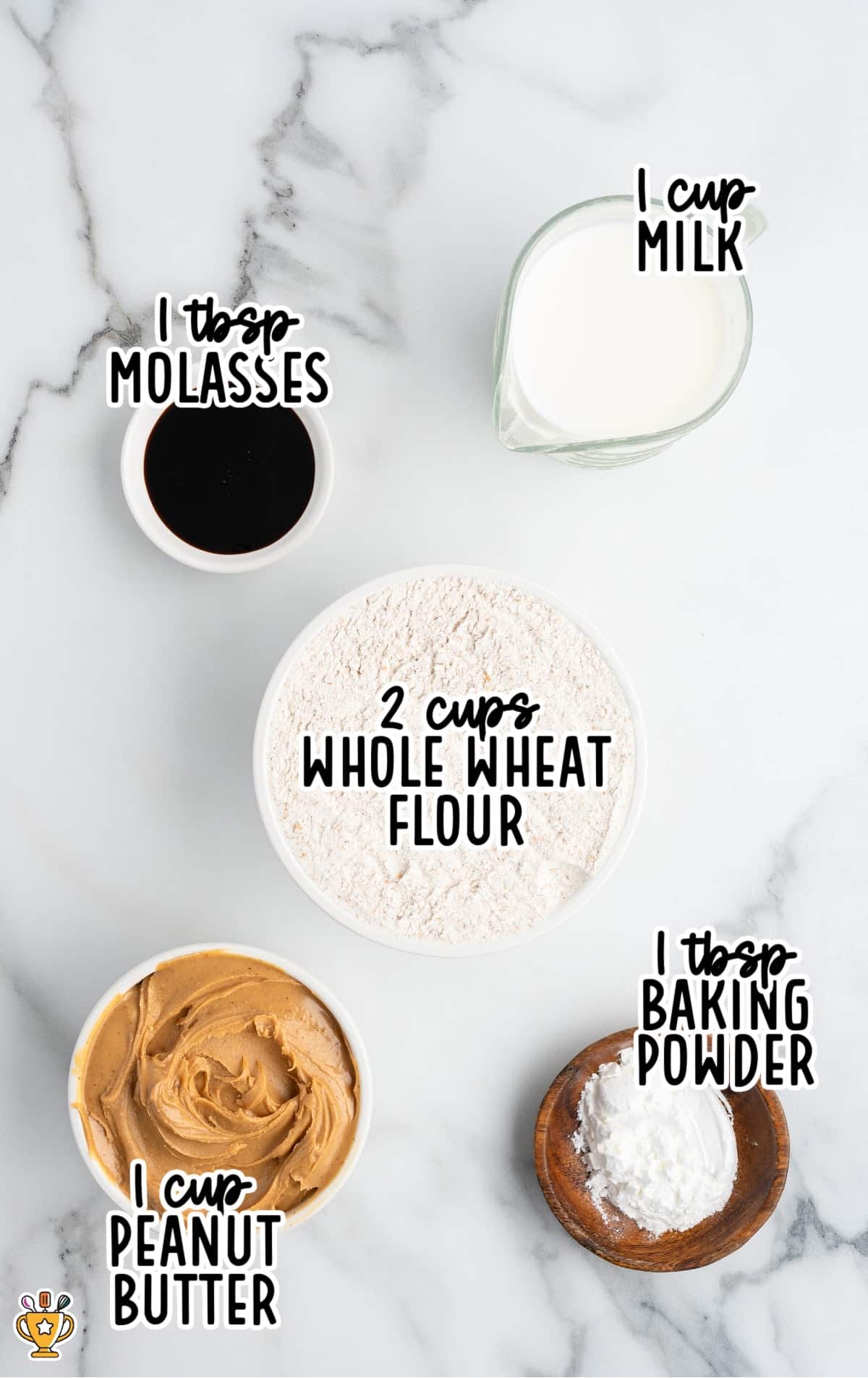 An overhead flat-lay image of the ingredients used for homemade dog treats on a white marble background. Each ingredient is labeled with bold text: “2 cups whole wheat flour,” “1 cup peanut butter,” “1 cup milk,” “1 tbsp molasses,” and “1 tbsp baking powder.” Each ingredient sits in a small bowl or measuring container, evenly spaced and cleanly styled.