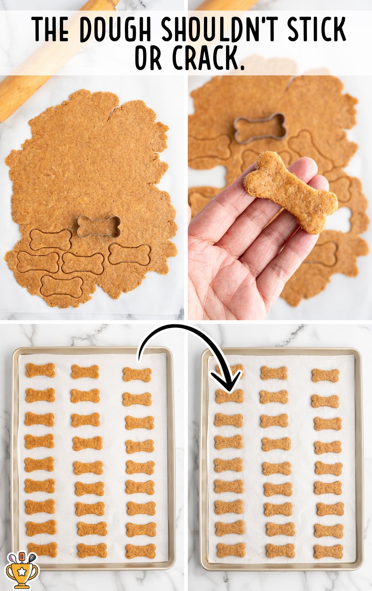 A multi-panel process image showing steps for making homemade dog treats. The top panels show rolled-out dough with bone-shaped cookie cutters and a hand holding a cut-out treat. Text reads “THE DOUGH SHOULDN’T STICK OR CRACK.” The bottom panels show baking sheets lined with evenly spaced bone-shaped treats before and after baking on parchment paper.