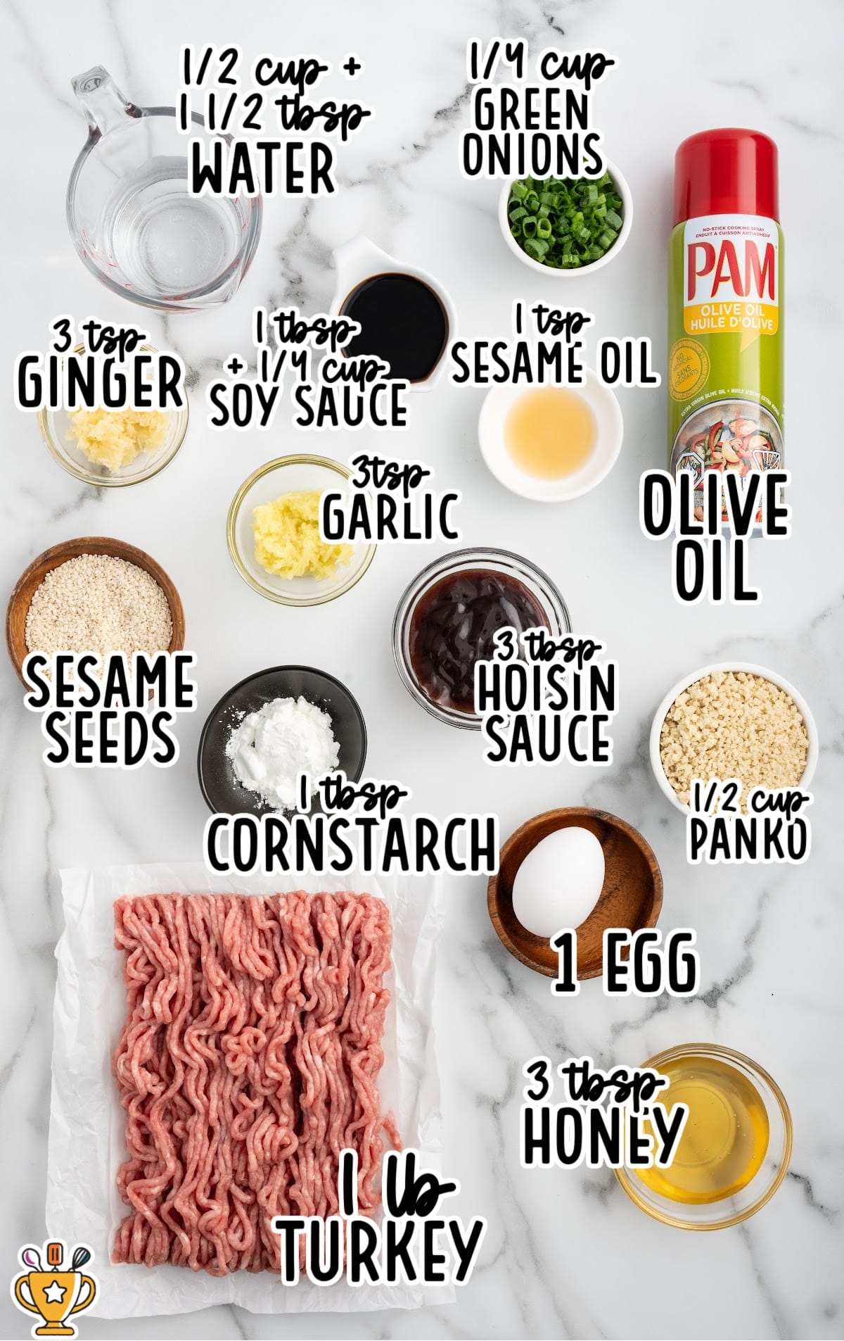 Overhead ingredients photo for Asian turkey meatballs on a marble surface, including ground turkey, egg, panko, green onions, soy sauce, hoisin, honey, sesame oil, garlic, ginger, cornstarch, sesame seeds, water, and cooking spray.