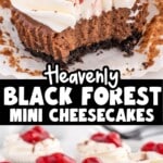 Row of Black Forest mini cheesecakes arranged on a serving plate, each topped with whipped cream, cherry pie filling, and chocolate shavings over a chocolate crust. Text on the image reads “Heavenly Black Forest Mini Cheesecakes” and “Balance between sweet & tart, creamy & crunchy.”