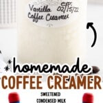 Pinterest graphic of a mason jar labeled “Vanilla Coffee Creamer” with the text “homemade COFFEE CREAMER” plus an ingredient list: “SWEETENED CONDENSED MILK,” “HALF & HALF,” “VANILLA COFFEE SYRUP,” and a footer that reads “FIND MORE RECIPES AT THEBESTBLOGRECIPES.COM.”