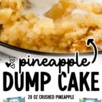 Pinterest-style graphic for Pineapple Dump Cake showing a close-up of warm pineapple dump cake topped with a scoop of vanilla ice cream. Text on image reads: “pineapple DUMP CAKE” and lists ingredients: “20 oz crushed pineapple, 20 oz pineapple tidbits, 1 box yellow cake mix, ½ cup brown sugar, ¾ cup butter.” Dole crushed pineapple and pineapple tidbits cans are pictured. Footer text reads: “Find more recipes at thebestblogrecipes.com.”