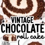 Pinterest pin featuring a chocolate roll cake slice with vanilla cream swirl and chocolate coating, with text &ldquo;VINTAGE CHOCOLATE roll cake,&rdquo; a printed ingredient list with an arrow pointing to a slice, and &ldquo;FIND MORE RECIPES AT THEBESTBLOGRECIPES.COM&rdquo;