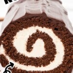 Pinterest pin showing the end of a chocolate roll cake with vanilla cream spiral and a small plated slice, with text &ldquo;CHOCOLATE ROLL CAKE&rdquo; and &ldquo;Easiest VINTAGE TREAT!!&rdquo;