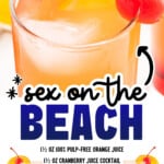 Pinterest image for Sex on the Beach with a close-up cocktail and text reading “Sex on the Beach,” plus ingredients including orange juice, cranberry juice cocktail, maraschino cherry, grenadine, vodka, peach schnapps, orange slice, and ice.