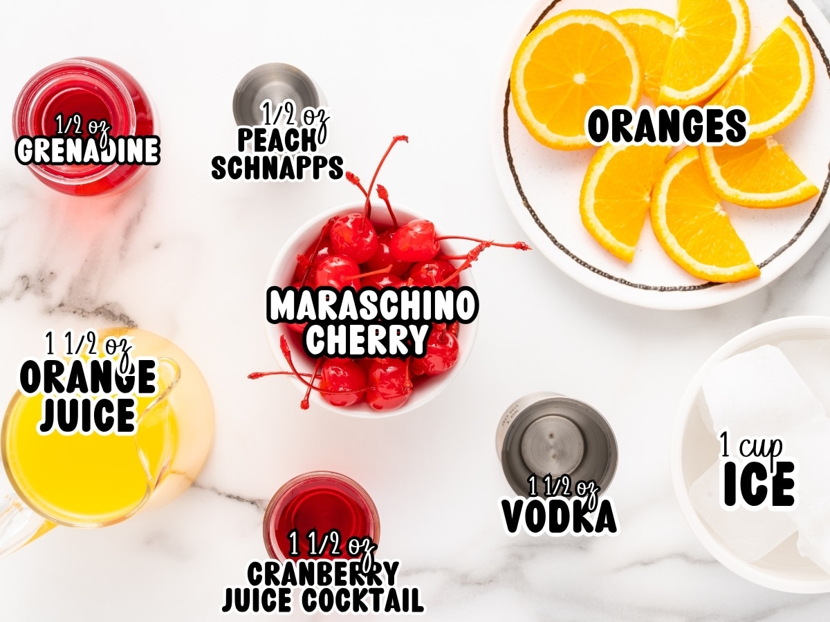 Ingredients for Sex on the Beach labeled with text: ½ oz grenadine, ½ oz peach schnapps, oranges, maraschino cherry, 1 ½ oz orange juice, 1 ½ oz cranberry juice cocktail, 1 ½ oz vodka, and 1 cup ice.