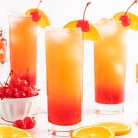 Recipe card image for a Sex on the Beach drink with layered orange and cranberry colors, orange slices, cherries, vodka, juice, and cocktail garnishes.