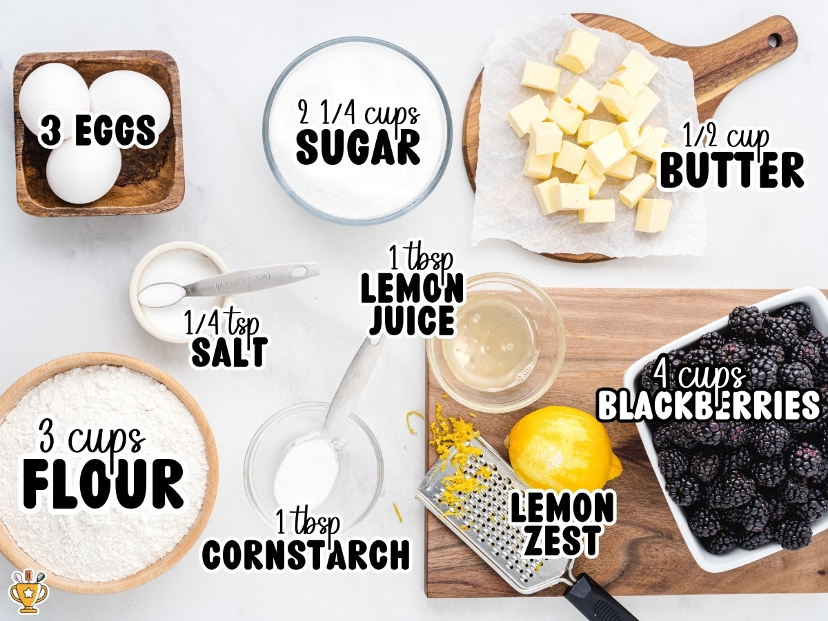 Ingredient collage for blackberry bars showing labeled ingredients including blackberries, flour, eggs, butter, sugar, lemon juice, lemon zest, cornstarch, and salt on a white background.
