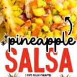 Pinterest recipe graphic for pineapple salsa with ingredient list text showing fresh pineapple, lime juice, cilantro, black pepper, tomatoes, red onion, jalapeño, honey, and salt, plus text that reads “pineapple SALSA” and “Find more recipes at thebestblogrecipes.com.”