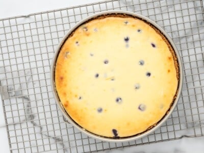 Fully baked lemon blueberry cheesecake with golden edges and blueberries visible throughout, cooling in the springform pan on a wire rack.